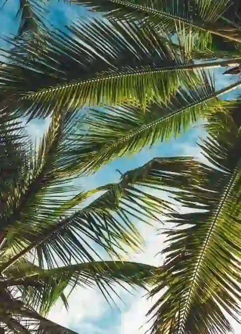 Aggressive Litigators