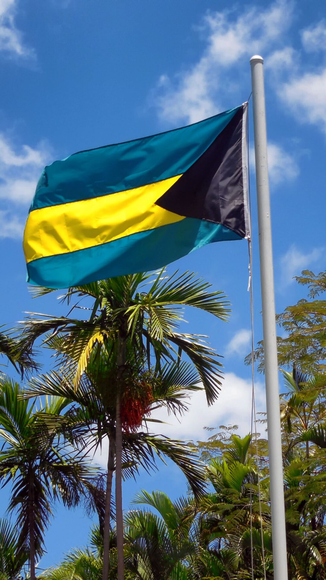trustee-duties-bahamas